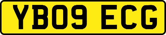 YB09ECG