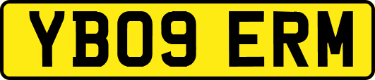 YB09ERM
