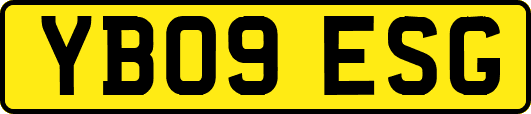 YB09ESG