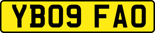 YB09FAO