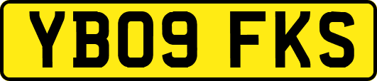 YB09FKS