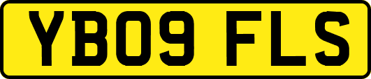 YB09FLS