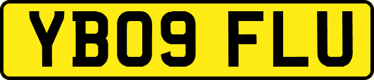 YB09FLU