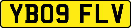 YB09FLV