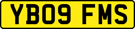 YB09FMS