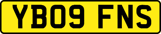 YB09FNS
