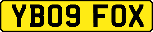 YB09FOX