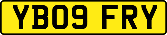 YB09FRY