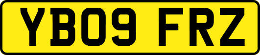 YB09FRZ