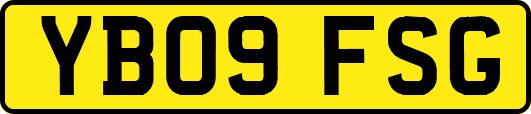YB09FSG