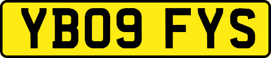 YB09FYS