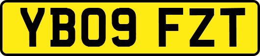 YB09FZT