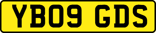 YB09GDS