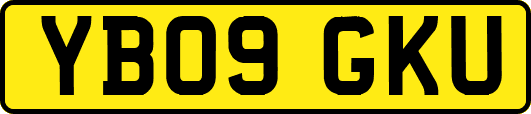 YB09GKU