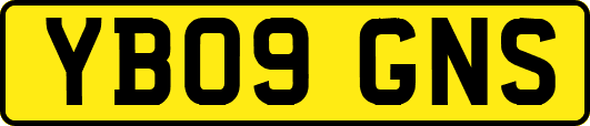 YB09GNS