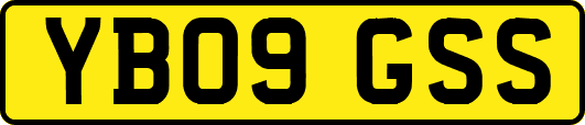 YB09GSS