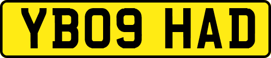 YB09HAD