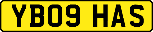 YB09HAS
