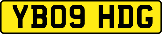 YB09HDG