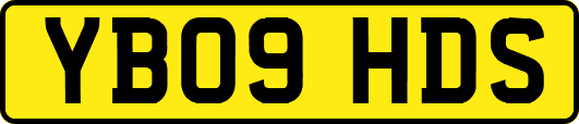YB09HDS