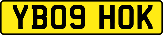 YB09HOK