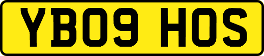 YB09HOS