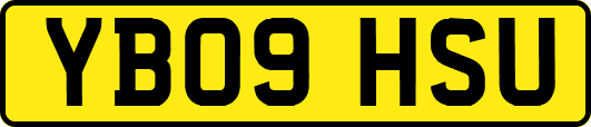 YB09HSU
