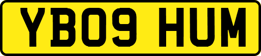 YB09HUM