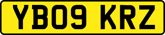 YB09KRZ
