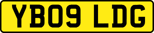 YB09LDG