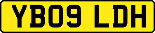 YB09LDH