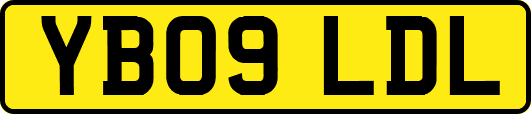 YB09LDL
