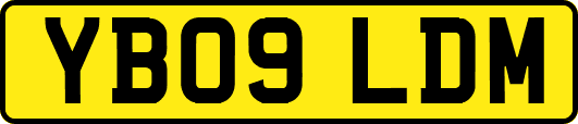 YB09LDM