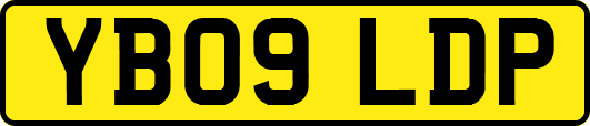 YB09LDP