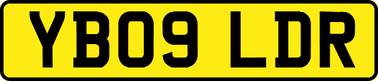 YB09LDR