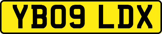 YB09LDX
