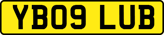 YB09LUB