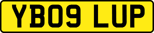 YB09LUP