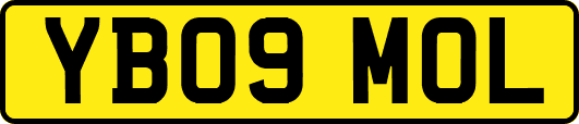 YB09MOL