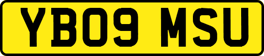 YB09MSU