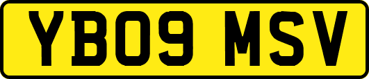 YB09MSV