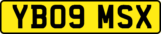 YB09MSX