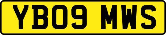 YB09MWS