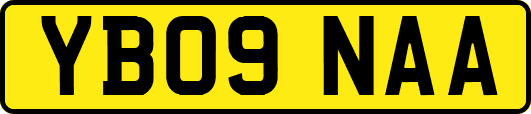 YB09NAA