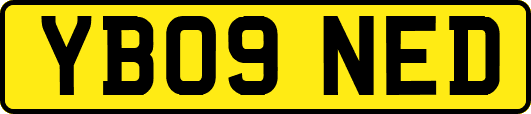 YB09NED
