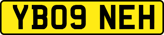 YB09NEH