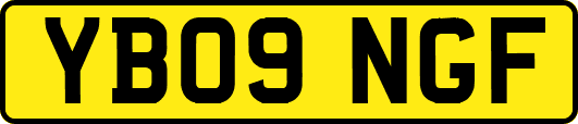 YB09NGF