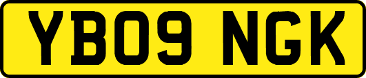 YB09NGK