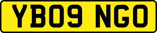 YB09NGO