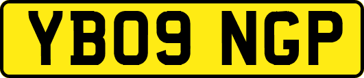 YB09NGP